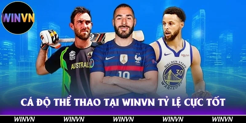 Cá độ thể thao tại Winvn – Trải nghiệm hấp dẫn, tỷ lệ cực tốt!